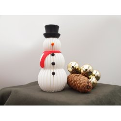 Little Snowman