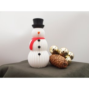 Little Snowman